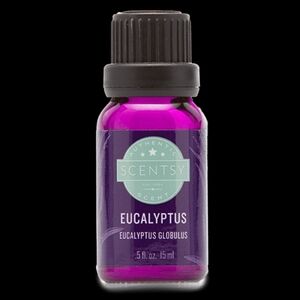 Eucalyptus Essential Oil